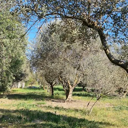 Home Charmant Des Alpilles Holiday home *